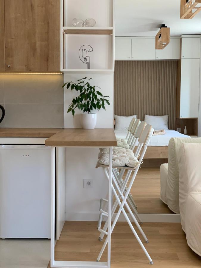 Selena Apartment Belgrado Esterno foto