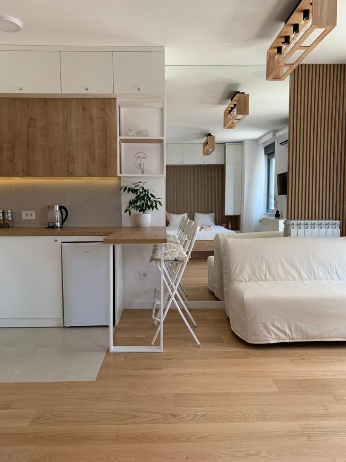 Selena Apartment Belgrado Esterno foto